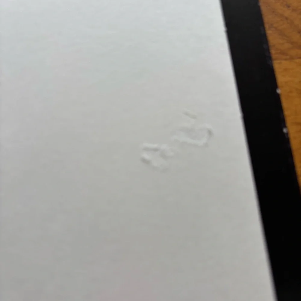 Vintage Mead Schim Schimmel‎ Portfolio Folder Set Of 3 White tiger 1999 Retro